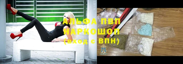 амф Горняк