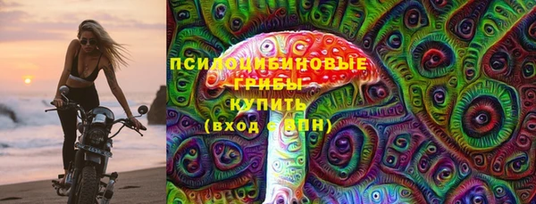 2c-b Вяземский